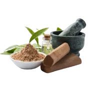 Health Health